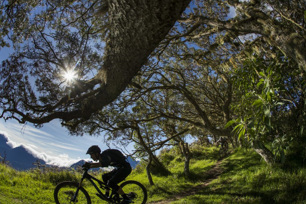 Rando VTT descente Bike Aventure Réunion