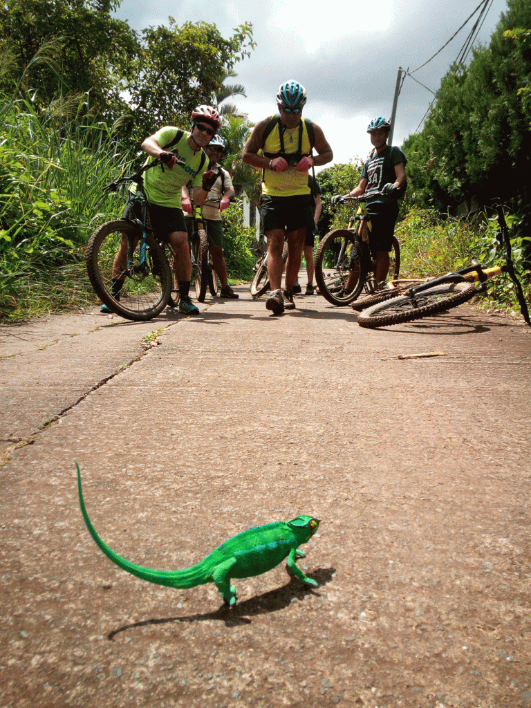 Rando VTT descente Bike Aventure Réunion