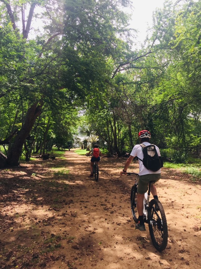 Rando VTT descente Bike Aventure Réunion